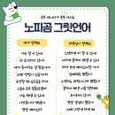 노피노피