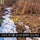 G1114 네이버블로그
