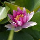 점동농장 이미지