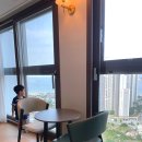 오션패밀리호텔 | 속초 가성비 숙소 베스트웨스턴호텔 디럭스 패밀리퀸 오션뷰 주차 후기
