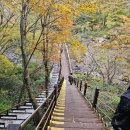 한라산국립공원관음사지구야영장 | 제주도/한라산 백록담 [1950m] 관음사 코스. bucketlist 완등 check list2