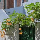 두원두부마을 이미지