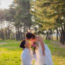 몽몽살롱 | 결혼식다녀오고, 결혼식다녀오고 웨딩촬영한 우당탕탕 일주일 (이슬씨의동행 헬퍼 비추천후기)