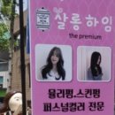 하임 염색 이미지