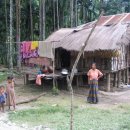 The Smallest Primitive Tribe in the World 이미지