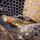 여주-0070 이미지