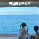 울릉푸른나무 이미지