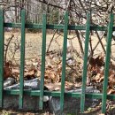 (주)스시메이진 건대점 | EP.66 추위를 견디며 먼저 피어봄을 알리는 꽃