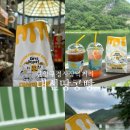 단양구경시장 먹거리 건강한 간식 디저트 대신땅콩빵 시장 빵집