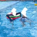 오버더마운틴 이미지