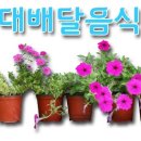 7번가왕족발 이미지