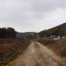 맷돌고향빈대떡 이미지