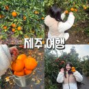 큰밭농원 | 12월 제주도 감귤따기 체험 추천｜서귀포 성산 ‘제주농원901’ 직접 다녀온 후기