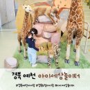 육아종합지원센터 사거리 (주성프라자 앞) | 경북 예천 아이세상놀이터 예약 경북도청 아이랑가볼만한곳