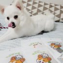 멍멍제과점 이미지