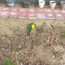 (주)다투어