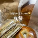 [평택 고덕 빵집] 빵뜰 배달 솔직후기 (소금빵•맘모스빵•베이글•탕종 생우유식빵)