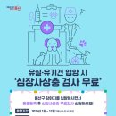 펫토이동물병원 이미지