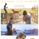 도그어게인 이미지