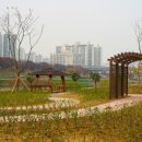 안양꽃화원 - 안양시 만안구 안양로 112 | 안양꽃화원