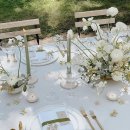 목화파크 이미지