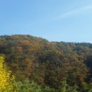 계곡속의동화 네이버블로그