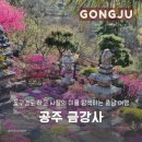 옥룡동 주민센터 | 충남 공주 꽃구경도 하고 사찰의 미를 탐색하기 좋았던 <금강사>