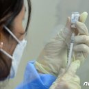 서당체육관 이미지