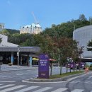 원 리조트모텔 | 강원도 정선 숙소 추천, 전 객실 리모델링 완료한 베르사유 모텔 후기