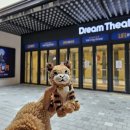 주아5-1낙차공 | [후기] 260308 14:00 연극 <라이프 오브 파이> 부산 자15 | 박강현, 서현철, 주아, 진상현, 김지혜...