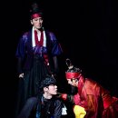 뿌리깊은 나무 이미지