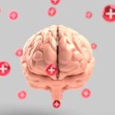 성모신경정신건강의학과의원 이미지