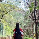 주례편백림 | 부산 트레킹 구봉산 엄광산 등산 플로깅 가을 단풍은 언제?