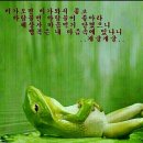 개굴개굴 이미지