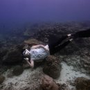 태풍액션스쿨 | 미야코지마 여행기: ‘미야코 블루’ 속 프리다이빙·스노클링은 PADA로! (인생샷 득템 후기)