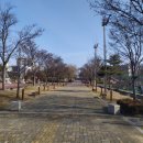 군민체육공원 인라인스케이트장 이미지