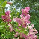 장수헬스클럽 이미지