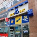 도그마캣일광