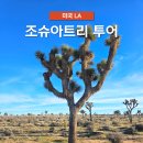 레스트힐상가화장실 | 조슈아트리 투어 데저트힐 아울렛 LA 근교 당일치기 여행 추천 후기