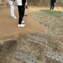 동촌스크린골프 | 동촌cc 3월 라운딩 후기