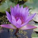 나무달쉼터 이미지