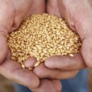 시나브로 이미지