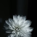 썬모터스 이미지