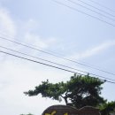 희망펜션민박