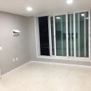 완산애견 이미지