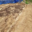 필돌농장 이미지