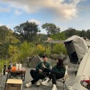 테슬라 전기차 5년차 오너의 장점 및 단점 주행 및 유지비 캠핑 등 실사용 후기 (모델3, Y, 사이버트럭)