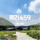 용인 처인구 대형 카페 갤러리 같은 묵리459
