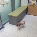 뉴타운동물병원 이미지