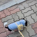 행복한요나네 이미지